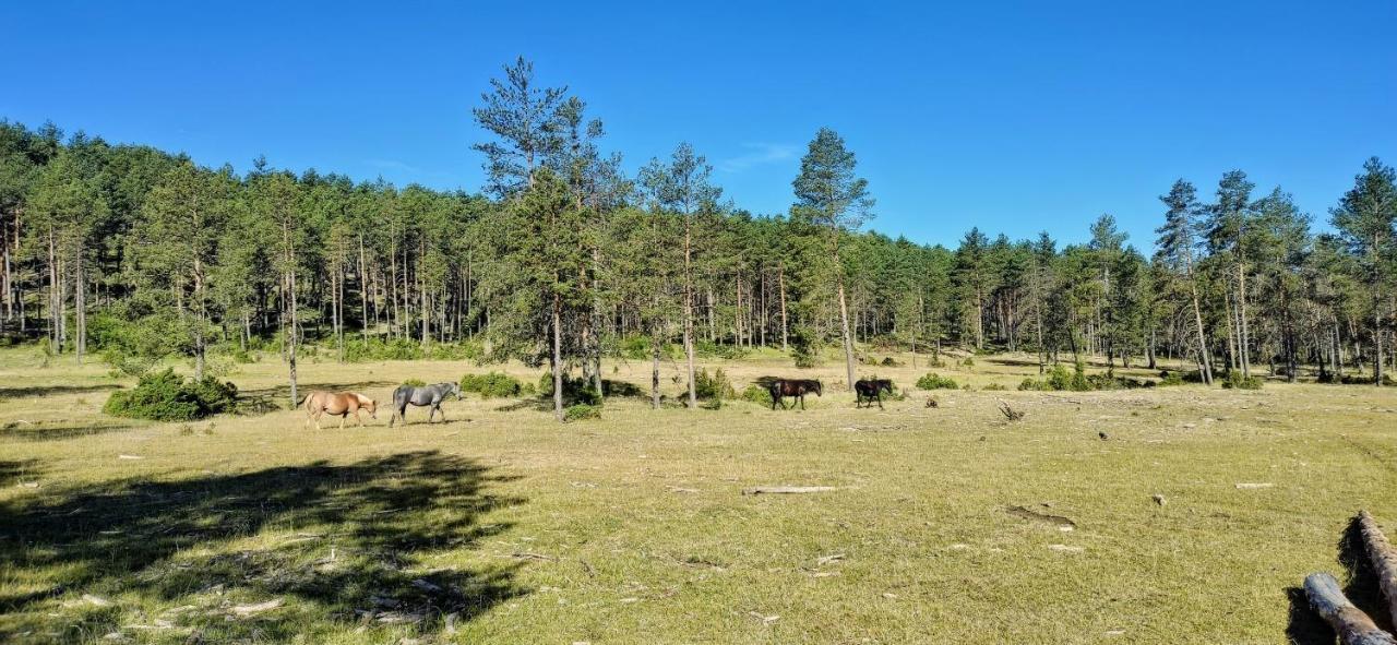 Alojamiento Rural Los Hacheros Траґасете Екстер'єр фото