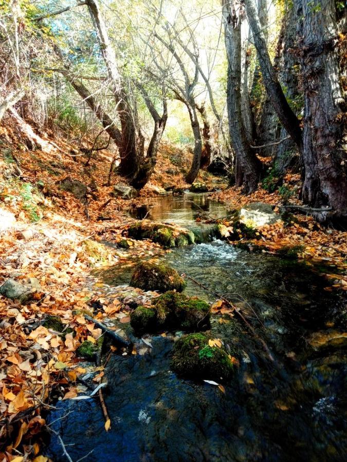 Alojamiento Rural Los Hacheros Траґасете Екстер'єр фото