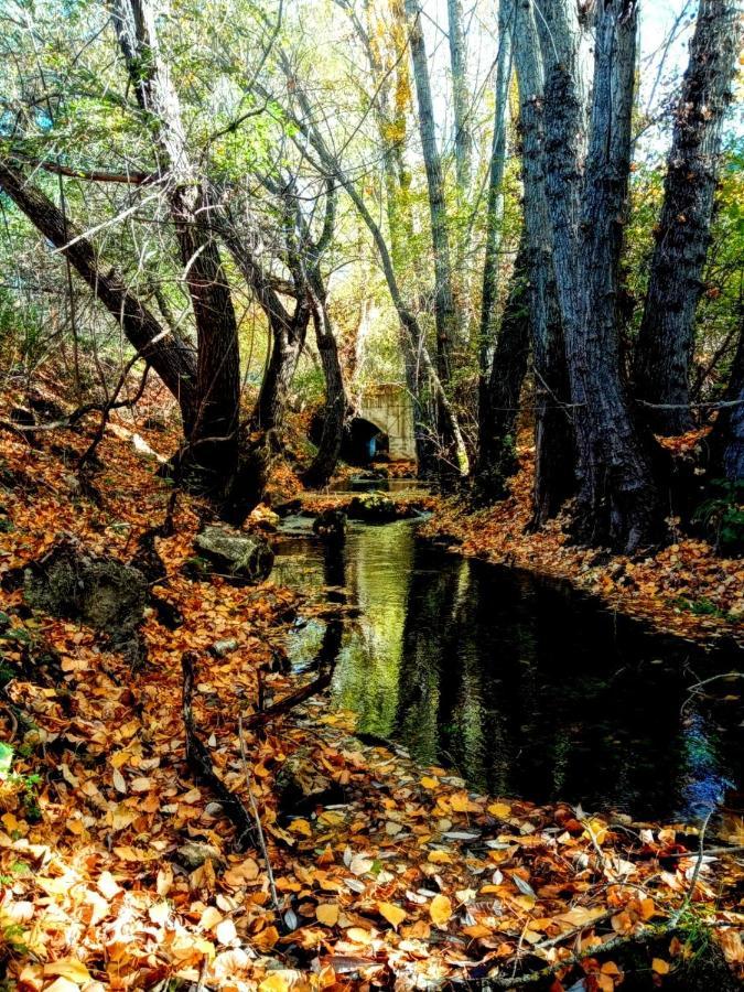 Alojamiento Rural Los Hacheros Траґасете Екстер'єр фото