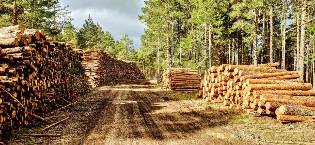 Alojamiento Rural Los Hacheros Траґасете Екстер'єр фото