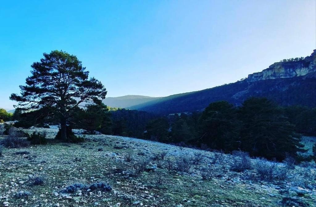 Alojamiento Rural Los Hacheros Траґасете Екстер'єр фото