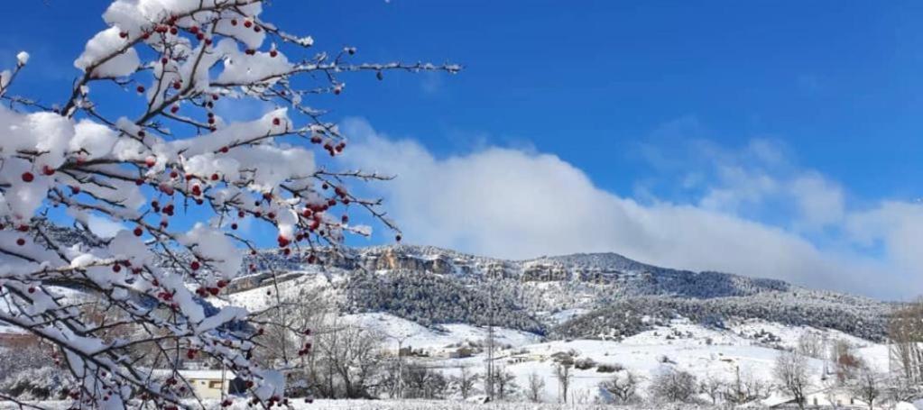 Alojamiento Rural Los Hacheros Траґасете Екстер'єр фото