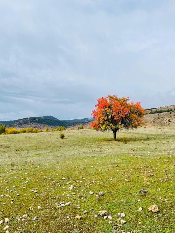 Alojamiento Rural Los Hacheros Траґасете Екстер'єр фото