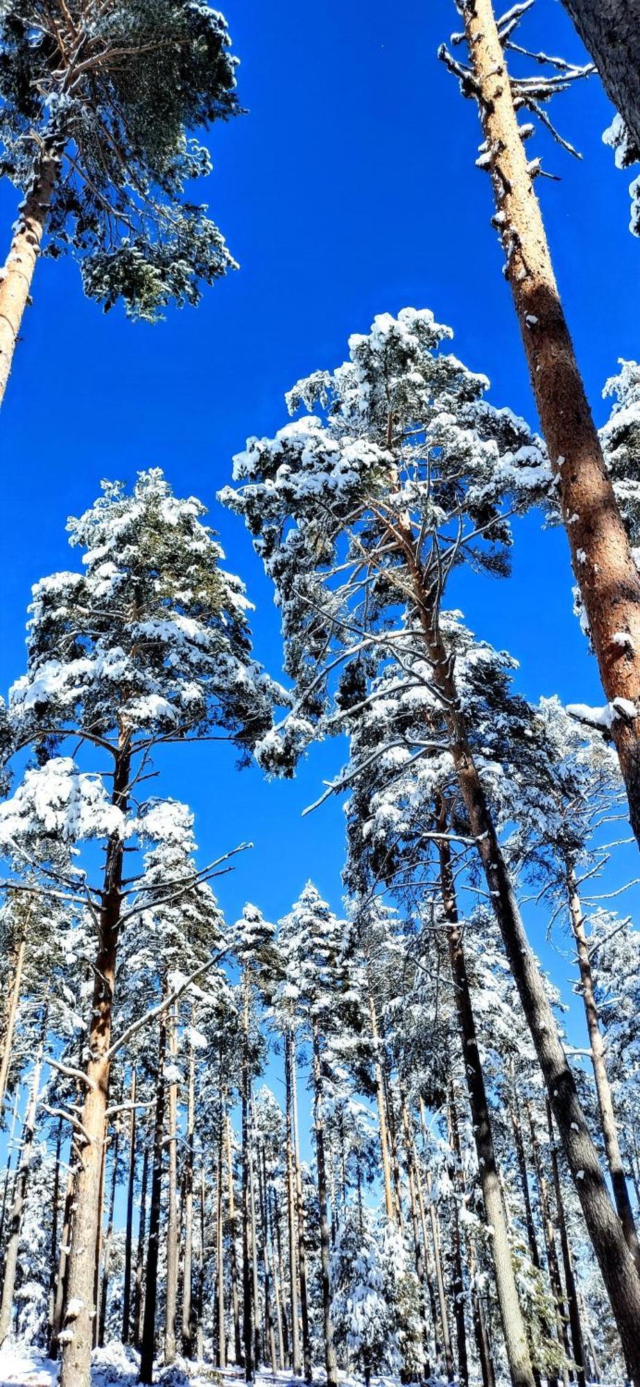 Alojamiento Rural Los Hacheros Траґасете Екстер'єр фото