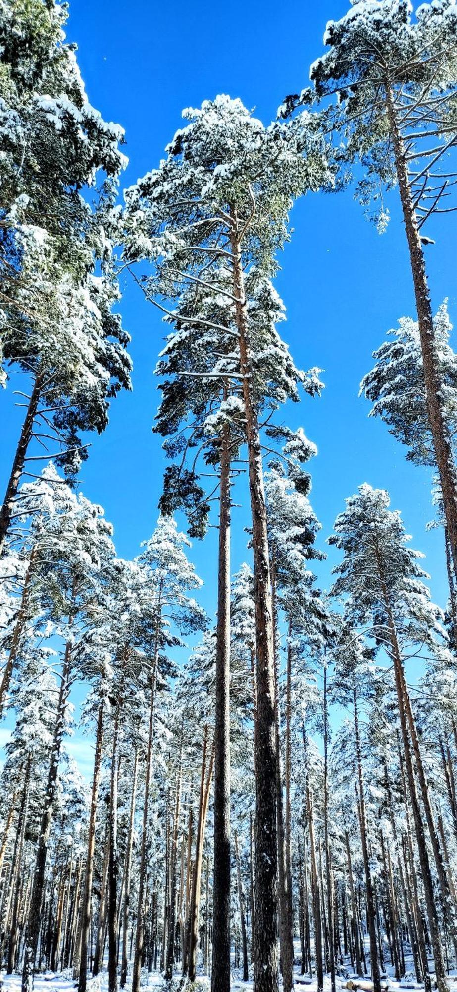 Alojamiento Rural Los Hacheros Траґасете Екстер'єр фото