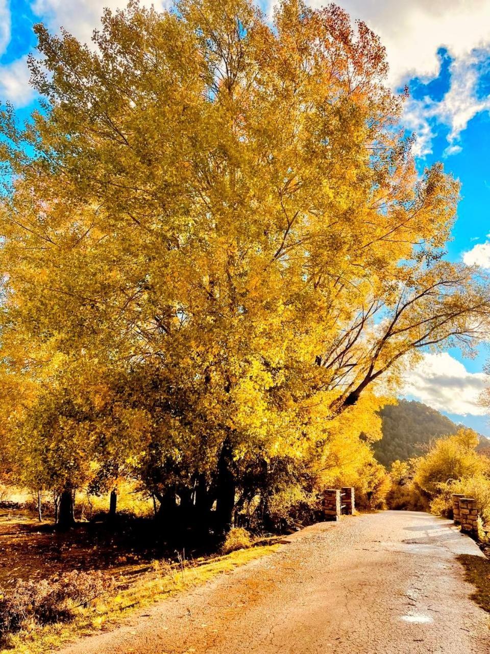 Alojamiento Rural Los Hacheros Траґасете Екстер'єр фото