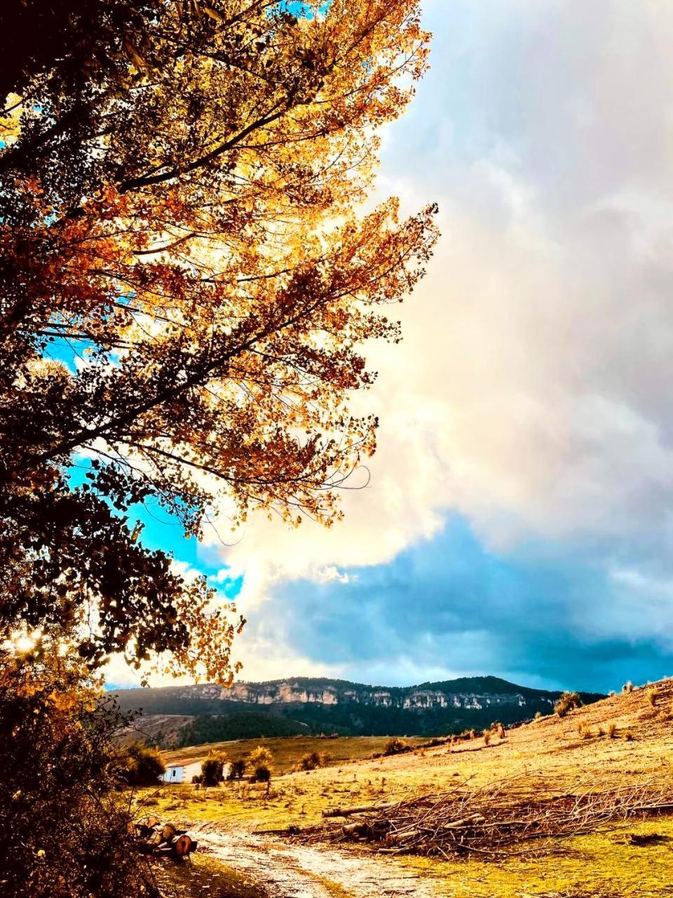 Alojamiento Rural Los Hacheros Траґасете Екстер'єр фото