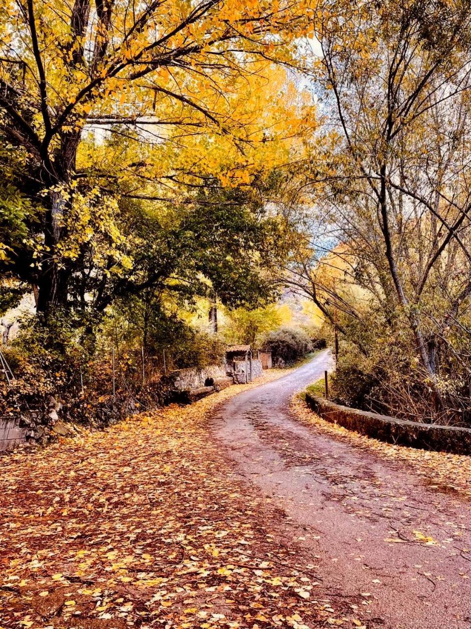 Alojamiento Rural Los Hacheros Траґасете Екстер'єр фото