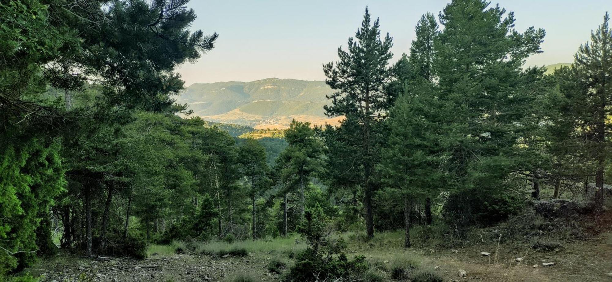 Alojamiento Rural Los Hacheros Траґасете Номер фото